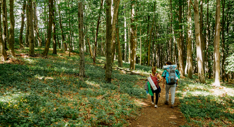 Ungarn Wanderer Kekesteto Foto Ungarisches Tourismusamt